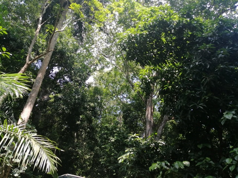 Los Chorros en Agua de Dios - Cundinamarca Colombia