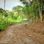Ruta de senderismo por el Camino Real - Guaduas Cundinamarca