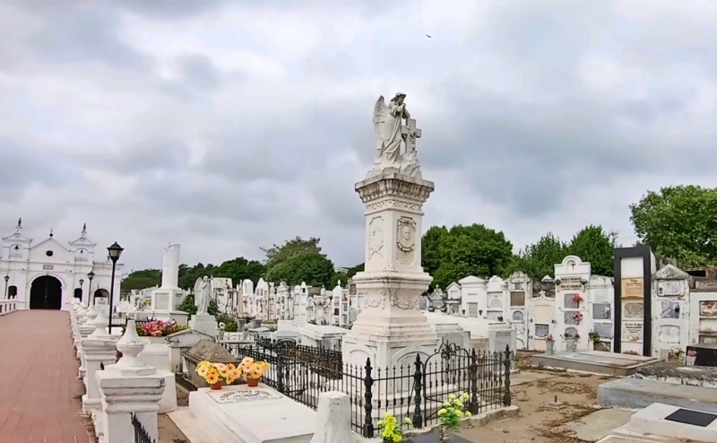 El cementerio de Mompox, un lugar lleno de gatos