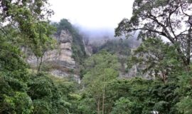 Parque Natural Chicaque