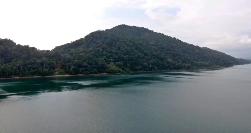 Parque Natural Utria: Al norte de la ciudad de Nuqui, a 45 minutos en lancha