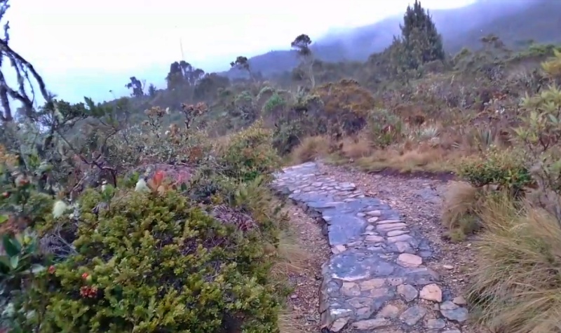 Parque Ecológico Pionono, Sopó, Cundinamarca, Colombia