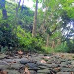 Recorre la Ruta de Mutis Guaduas, Cundinamarca - Colombia
