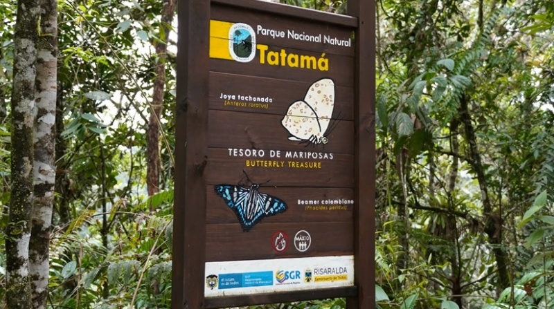 Parque Nacional Natural Tatamá – Sitios Turísticos de Colombia