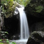 Parque Municipal Natural Arrayanal de Mistrató, Colombia | Risaralda