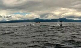 Turismo en el Departamento del Chocó - Colombia