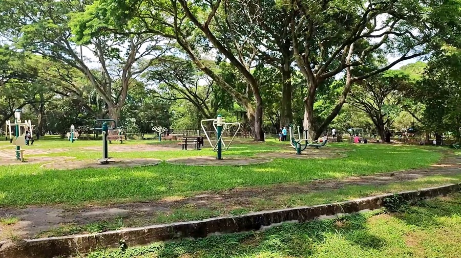 Bosque Municipal - Palmira Valle