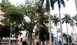 Turismo en Palmira - Colombia