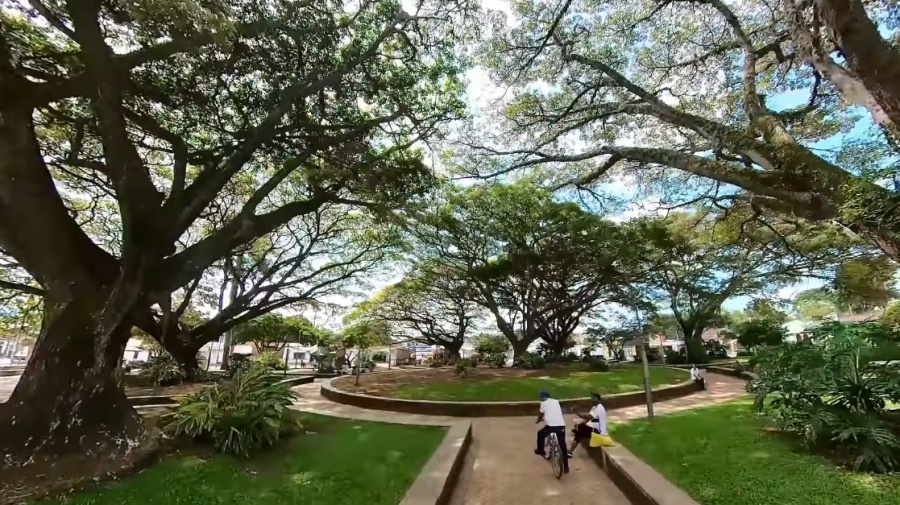 Guía de Viaje de Guacarí Valle del Cauca - Colombia