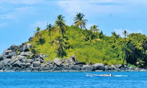 Santuario de Fauna Playón y Playona