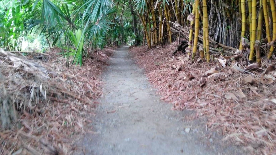 Sendero AgroEcológico los Bolos - Palmira Valle