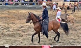 Cabalgatas - Deporte de aventura en Colombia