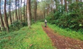 Ciclomontañismo - Deporte de aventura en Colombia