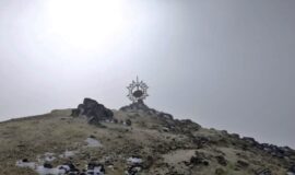 imageframe-image