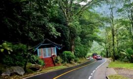 Yopal Travel Guide & Adventure