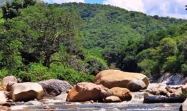 Datos útiles para su viaje a Valledupar