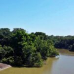 La Reserva Natural Bojonawi es un refugio natural en Puerto Carreño, Vichada