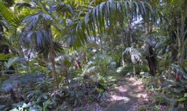Jardín Botánico de Cartagena - Guillermo Piñeres - Cartagena de Indias