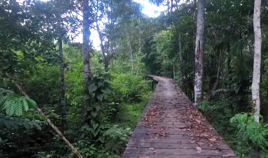 Parque Nacional Amacayacu, en el Amazonas, Colombia