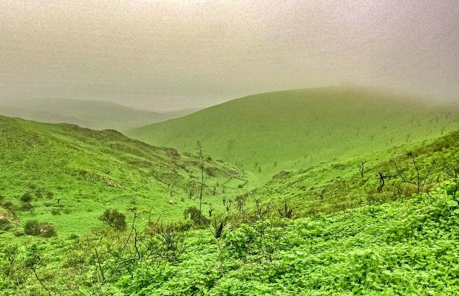 La Reserva Nacional de Lachay - Perú