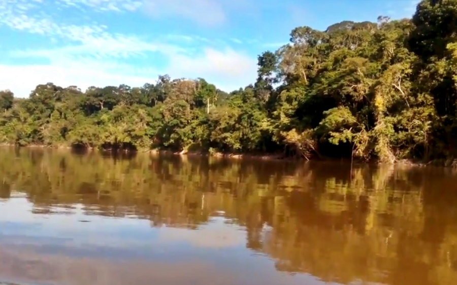 Río Mirití Paraná (Amazonas Colombia)