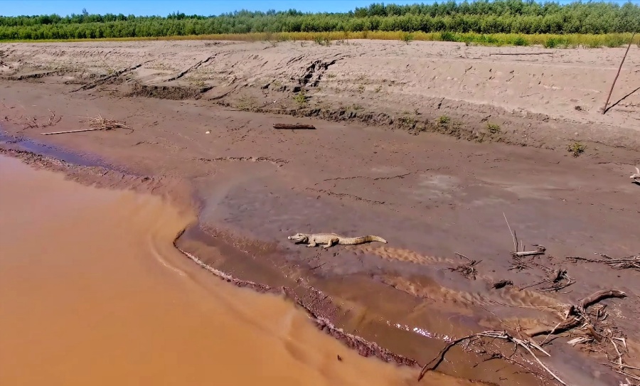 Cómo llegar a el Parque Nacional Manu