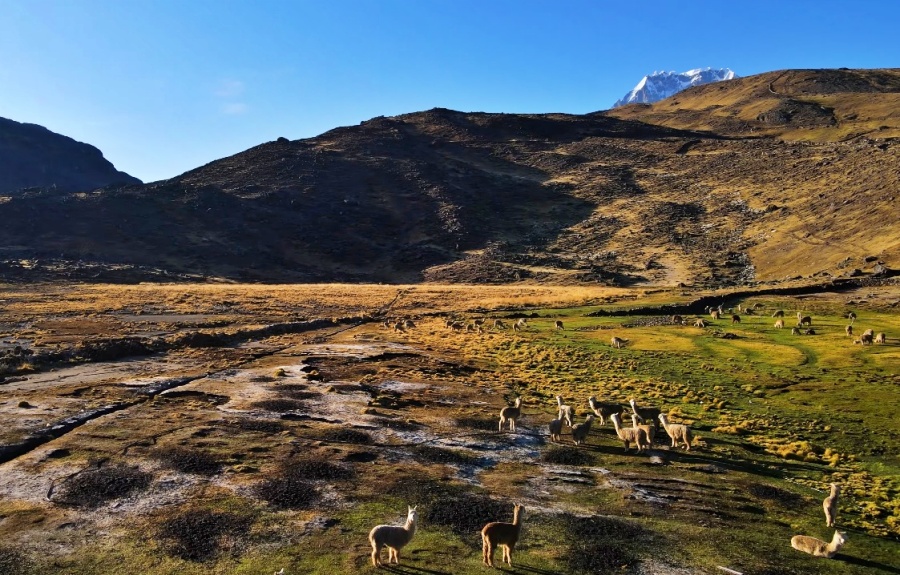 Ausangate está rodeado de extensos y luminosos lagos de color turquesa como el Sibinacocha, así como de bosques de piedras, glaciares y vastas planicies que impresionan por su mágico paisaje.