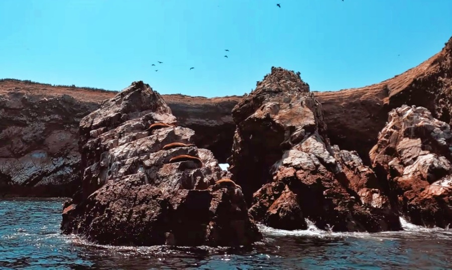 Los 2 atractivos principales de Paracas son la Reserva Nacional de Paracas y las Islas Ballestas.
